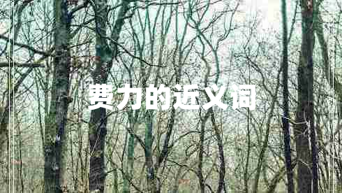 費力的近義詞