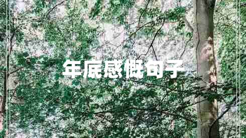 年底感慨句子