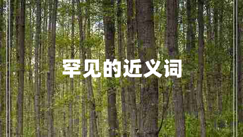 罕見的近義詞