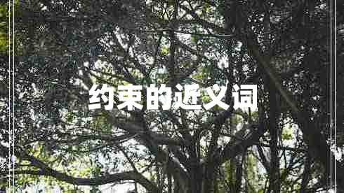 約束的近義詞