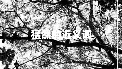 猛然的近義詞