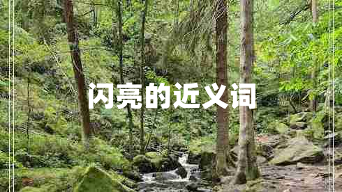閃亮的近義詞