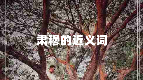 肅穆的近義詞