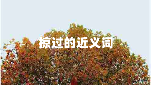 掠過的近義詞
