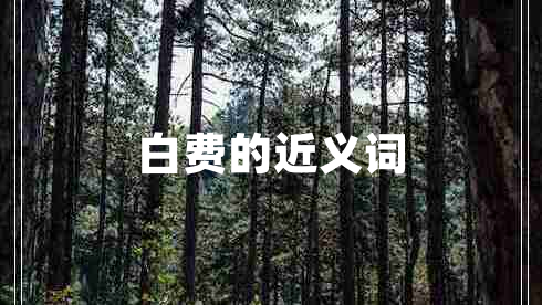 白費的近義詞