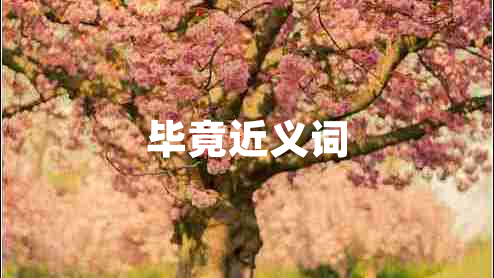 畢竟近義詞