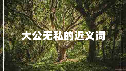 大公無(wú)私的近義詞