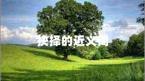 抉擇的近義詞