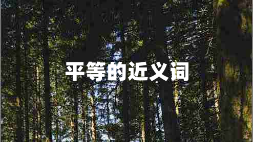 平等的近義詞