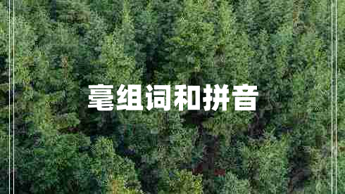 毫組詞和拼音