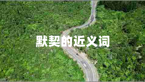 默契的近義詞
