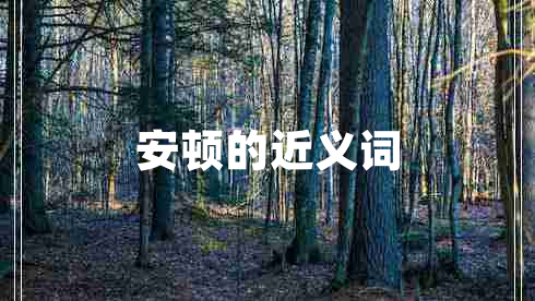 安頓的近義詞
