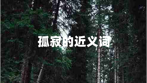 孤寂的近義詞