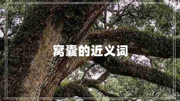 窩囊的近義詞