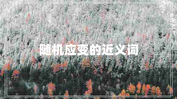 隨機(jī)應(yīng)變的近義詞