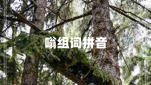 嗡組詞拼音