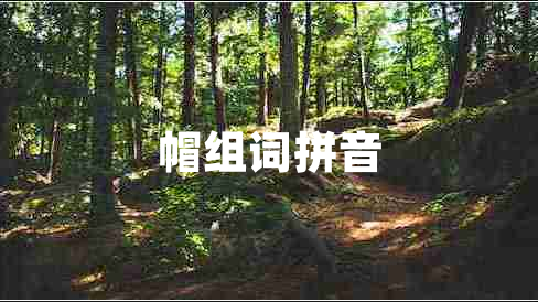 帽組詞拼音