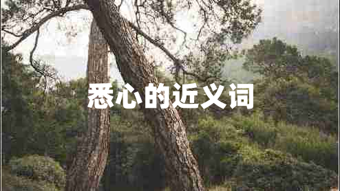 悉心的近義詞