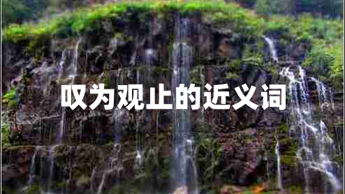 嘆為觀止的近義詞