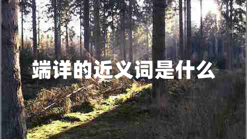 端詳的近義詞是什么
