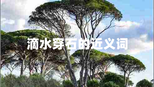 滴水穿石的近義詞