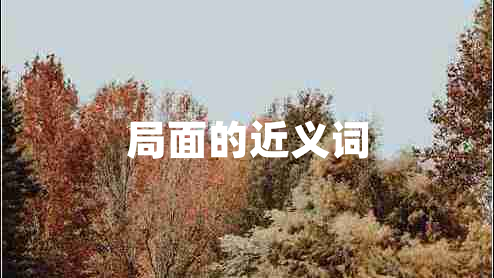 局面的近義詞