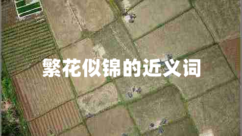 繁花似錦的近義詞
