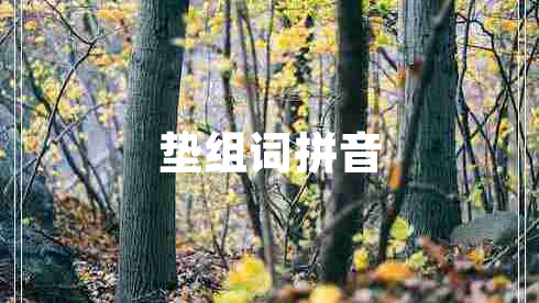 墊組詞拼音