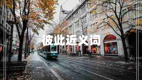 彼此近義詞