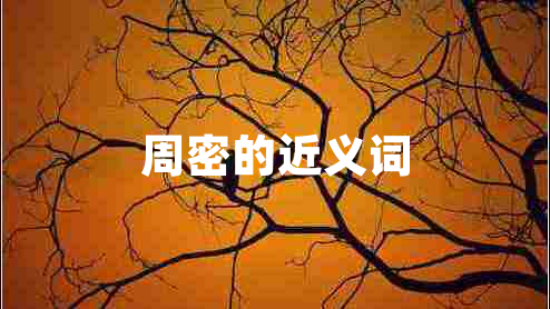 周密的近義詞