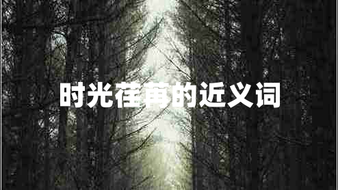 時(shí)光荏苒的近義詞