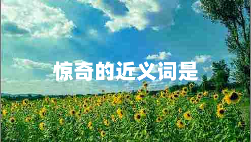 驚奇的近義詞是
