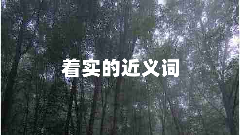 著實的近義詞