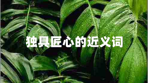 獨(dú)具匠心的近義詞