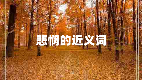 悲憫的近義詞
