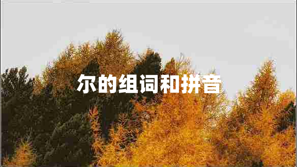 爾的組詞和拼音