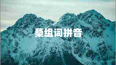 桑組詞拼音