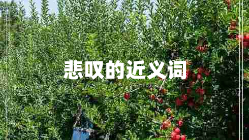 悲嘆的近義詞