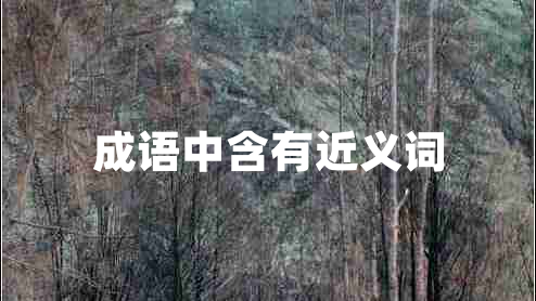 成語(yǔ)中含有近義詞