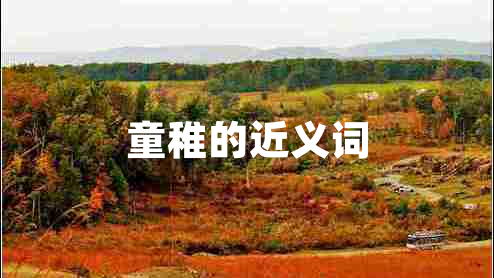 童稚的近義詞