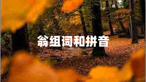 翁組詞和拼音