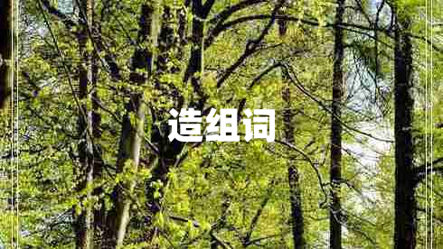 造組詞