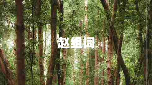 趙組詞