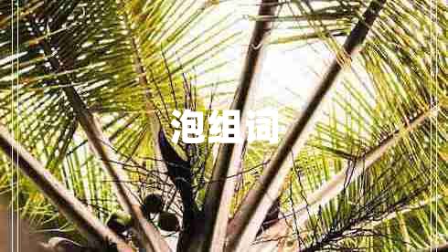 泡組詞