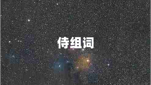 侍組詞