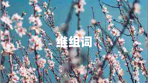 繼組詞