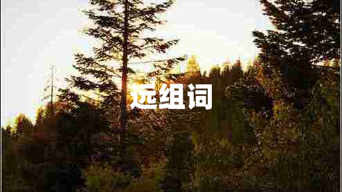 遠組詞