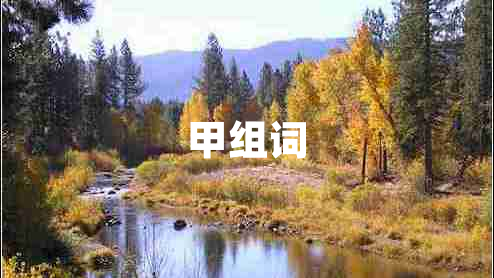 甲組詞