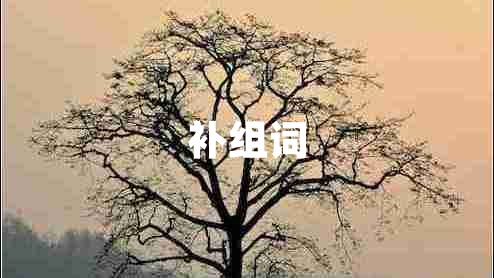 補(bǔ)組詞