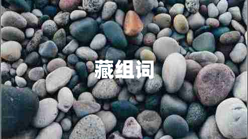 藏組詞